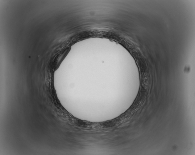 X0000099551061200806061511