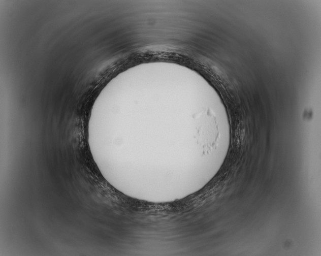 X0000099551062200806061511