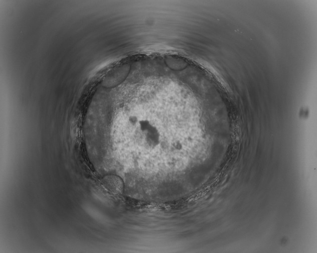 X0000099551063200806061511