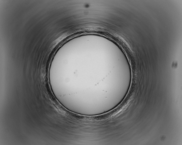 X0000099551065200806061511