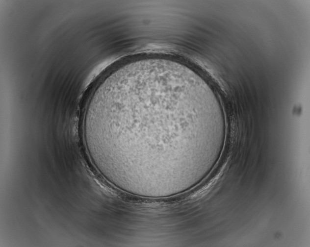 X0000099551066200806061511