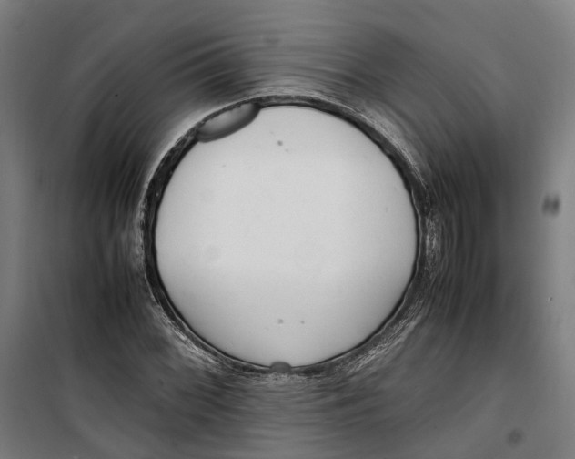 X0000099551068200806061511