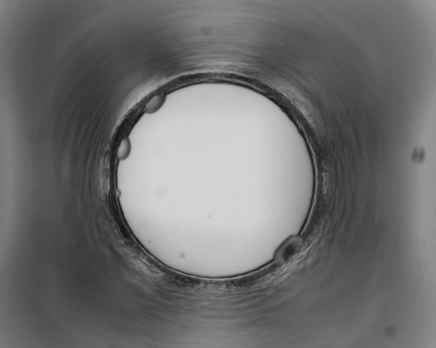 X0000099551069200806061511