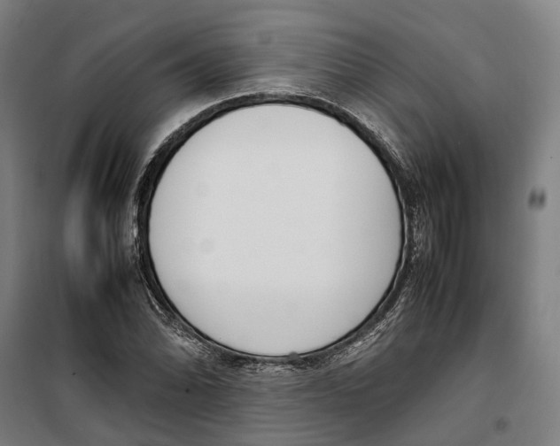 X0000099551070200806061511