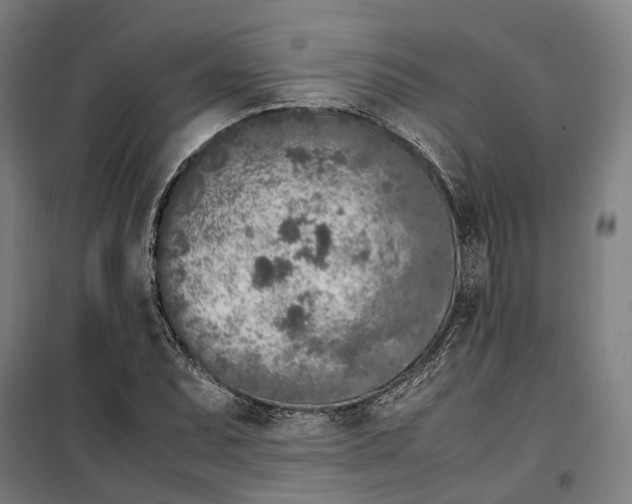 X0000099551071200806061511