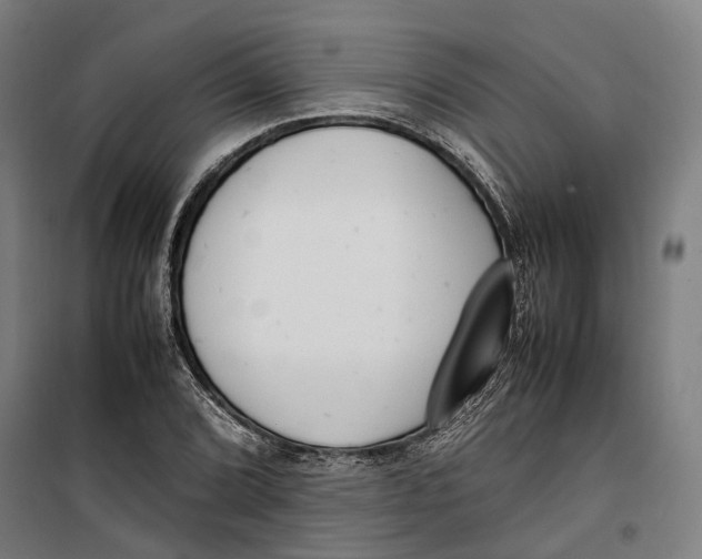 X0000099551072200806061511