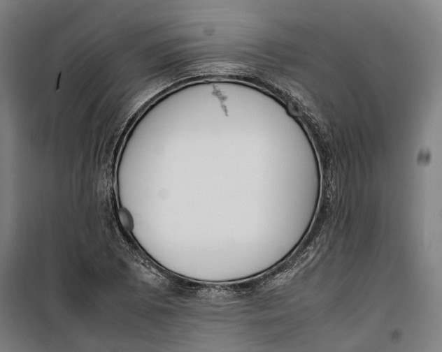 X0000099551073200806061511