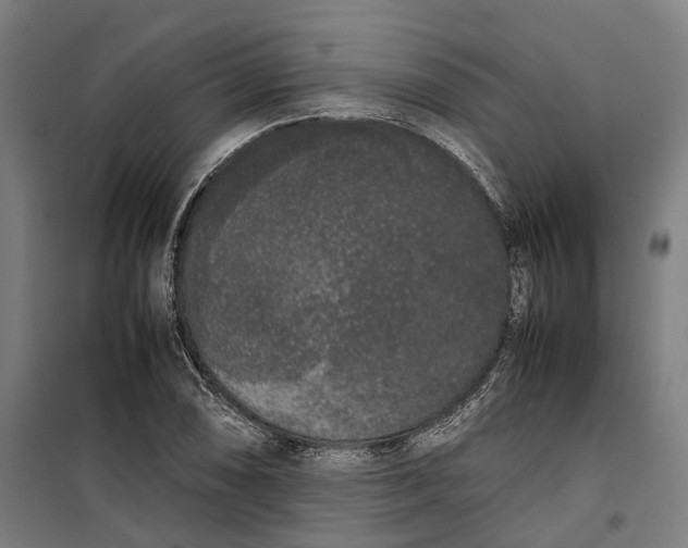 X0000099551074200806061511