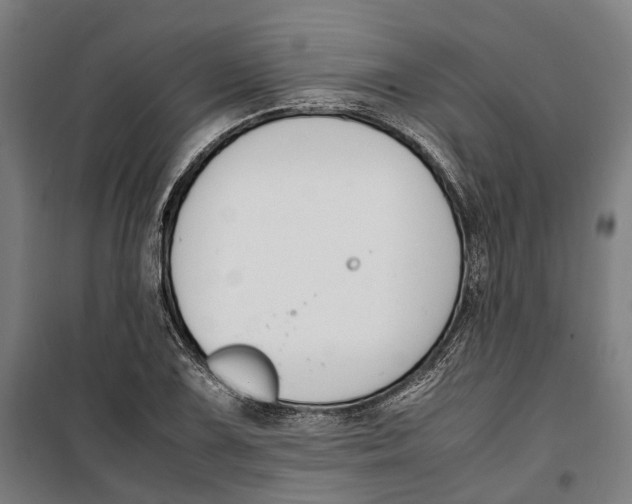 X0000099551075200806061511