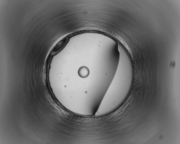 X0000099551076200806061511