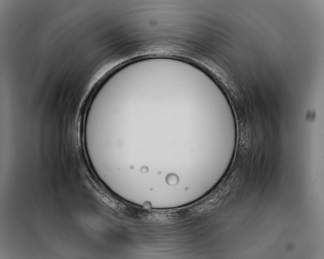 X0000099551078200806061511