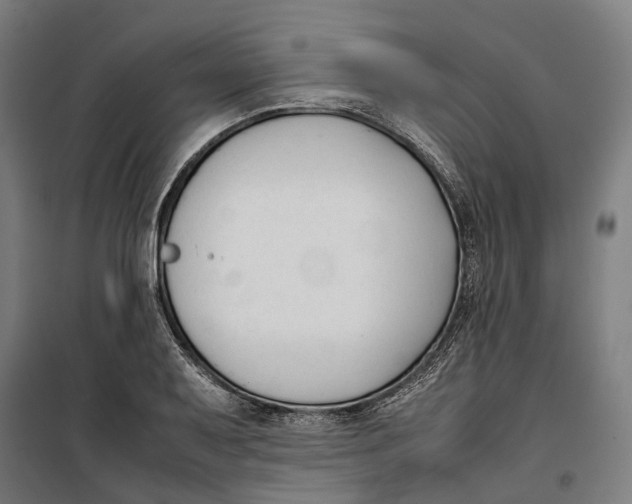 X0000099551079200806061511