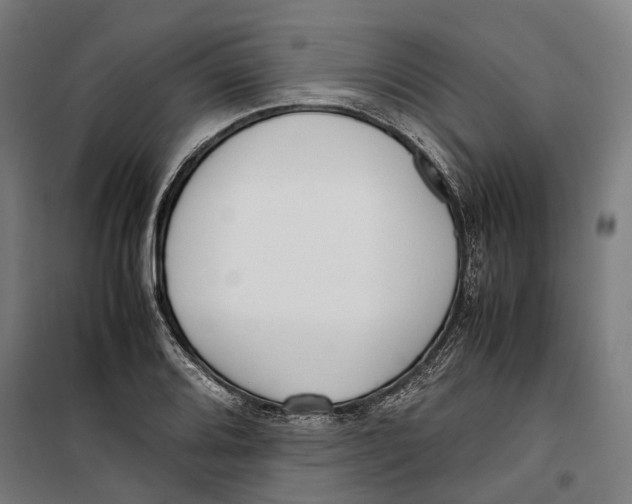 X0000099551080200806061511