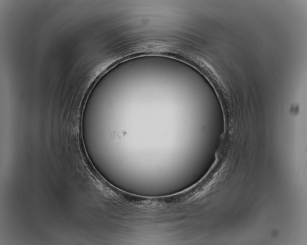 X0000099551081200806061511