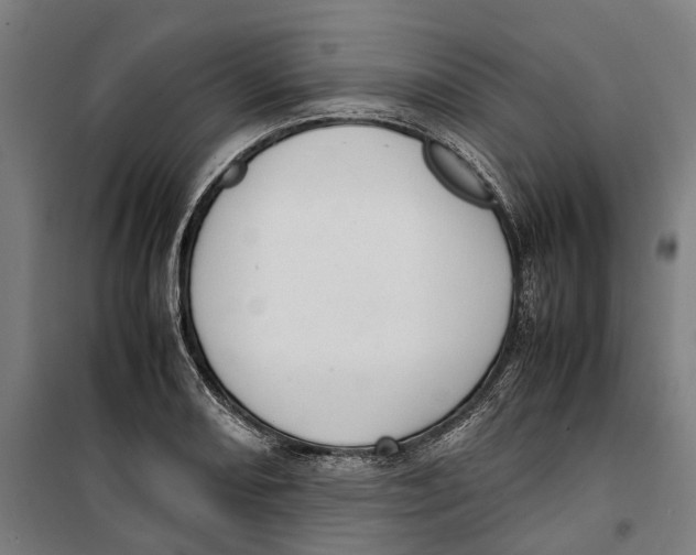 X0000099551082200806061511