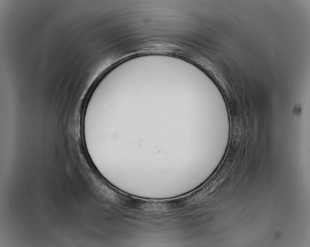 X0000099551083200806061511