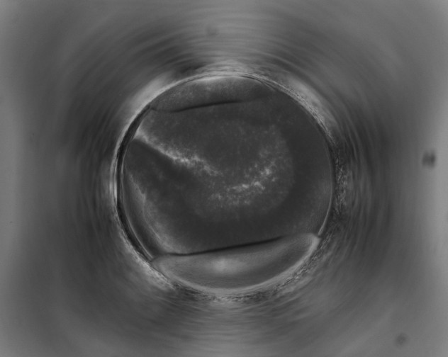 X0000099551084200806061511