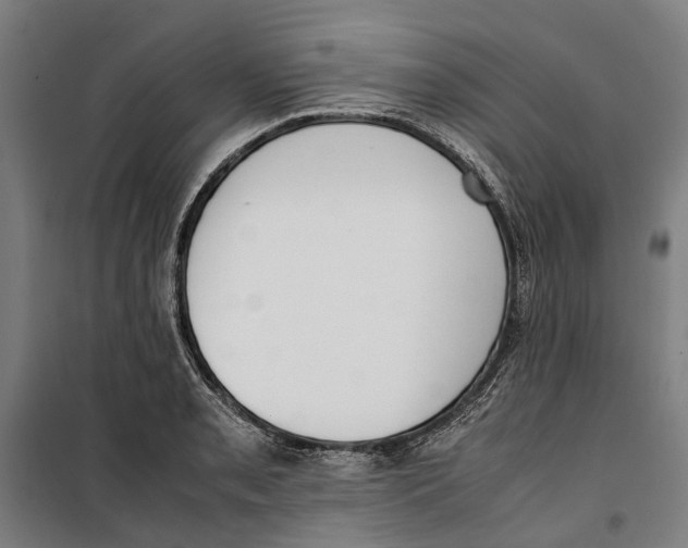 X0000099551085200806061511