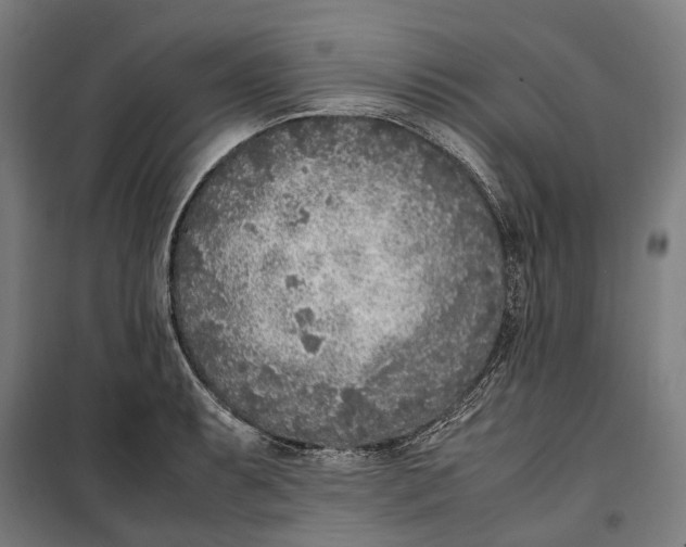 X0000099551087200806061511