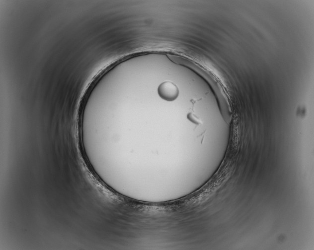 X0000099551088200806061511