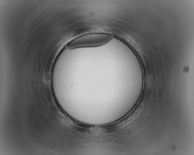 X0000099551089200806061511