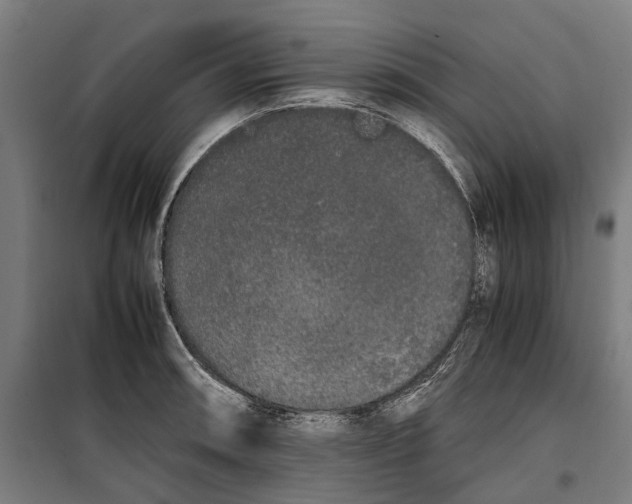 X0000099551090200806061511