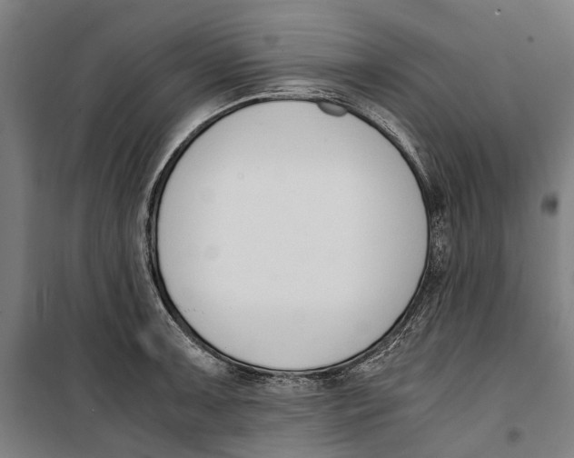 X0000099551091200806061511