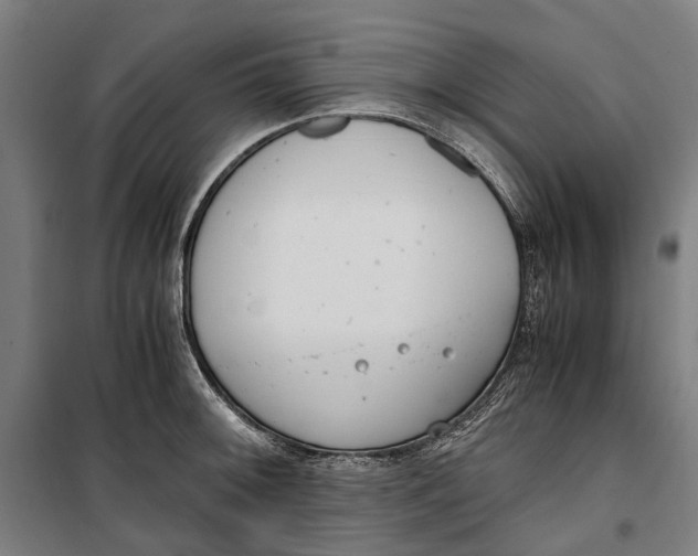 X0000099551092200806061511