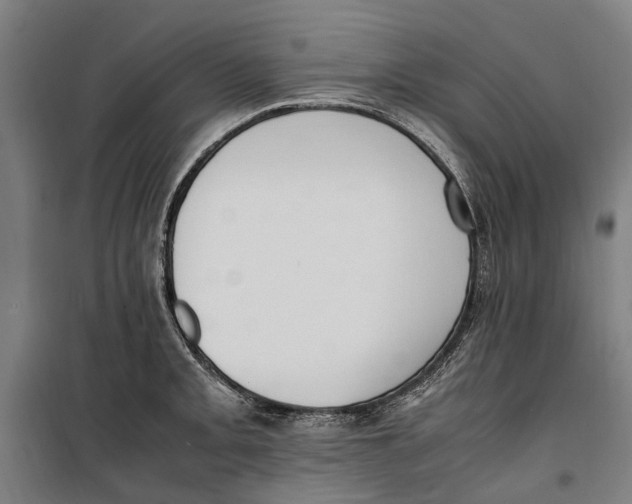 X0000099551093200806061511