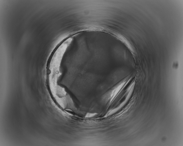 X0000099551095200806061511