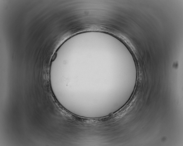 X0000099551097200806061511