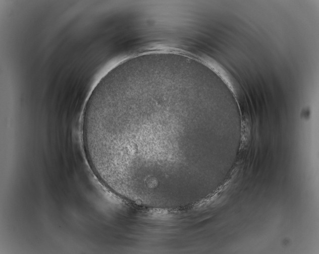 X0000099551098200806061511