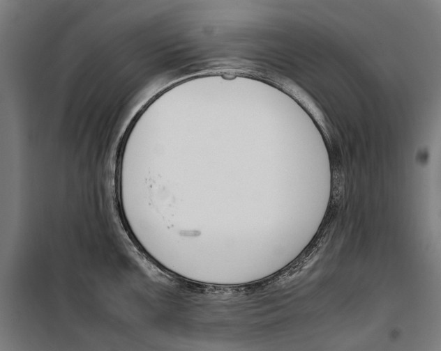 X0000099551099200806061511