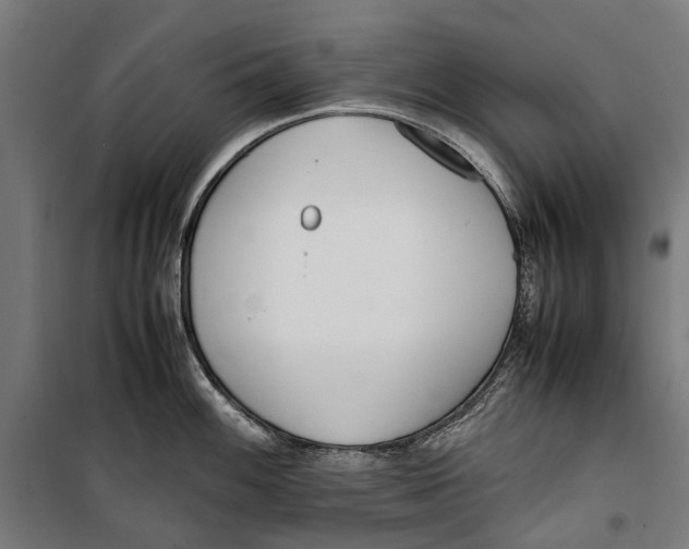 X0000099551100200806061511