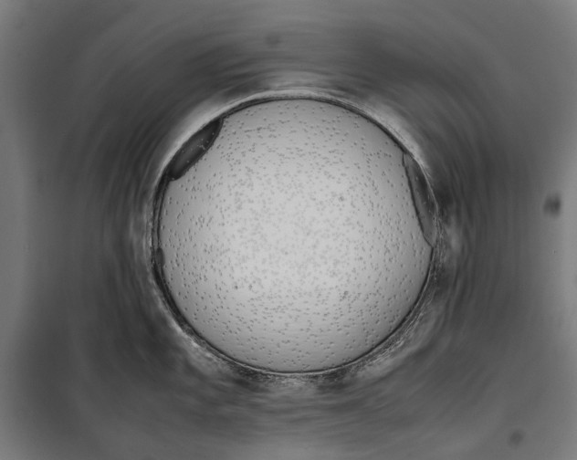 X0000099551101200806061511