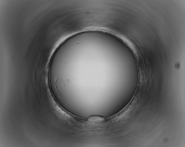 X0000099551102200806061511