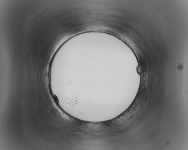 X0000099551103200806061511