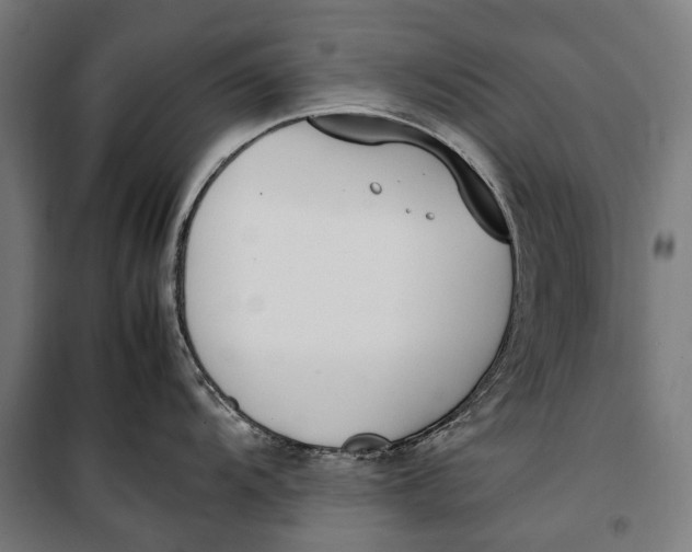 X0000099551104200806061511