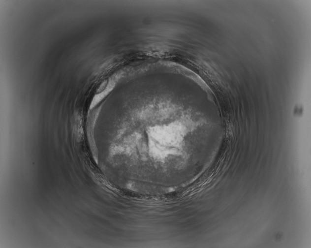 X0000099551106200806061510