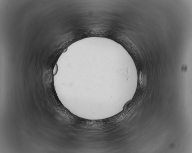 X0000099551107200806061510