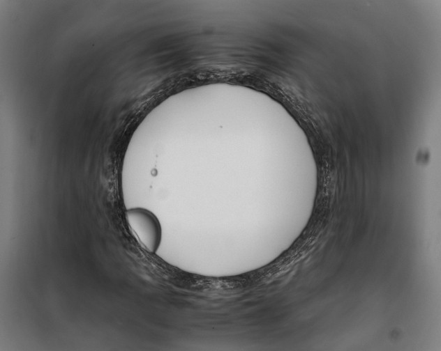 X0000099551109200806061510