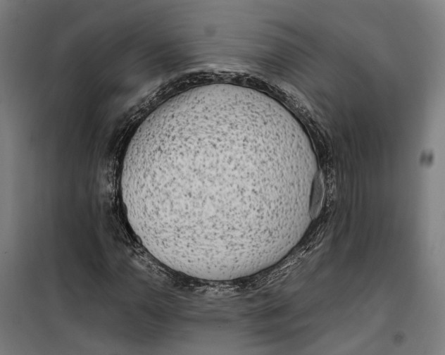 X0000099551110200806061510