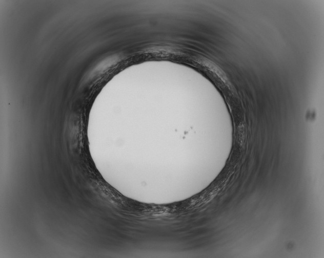 X0000099551111200806061510