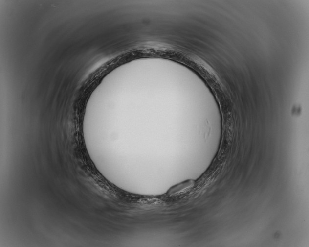 X0000099551112200806061510