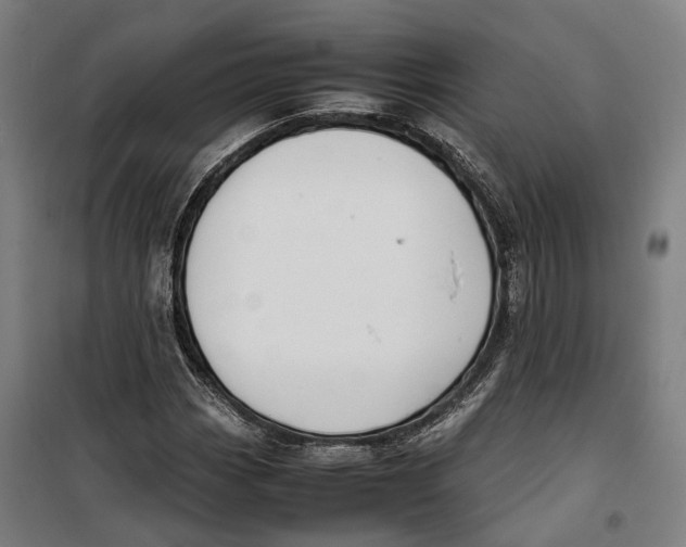 X0000099551113200806061510