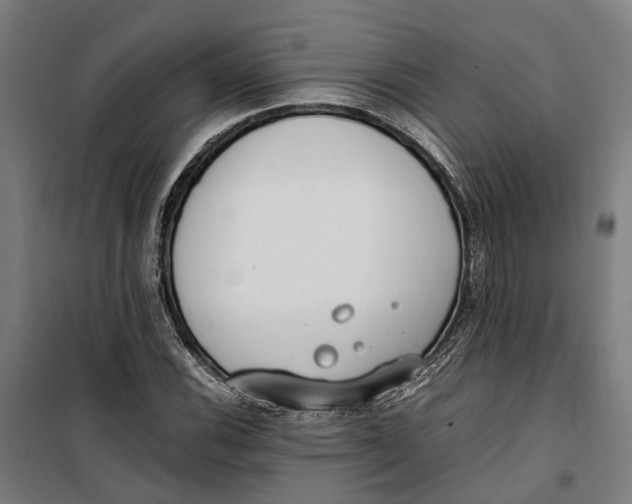 X0000099551116200806061510