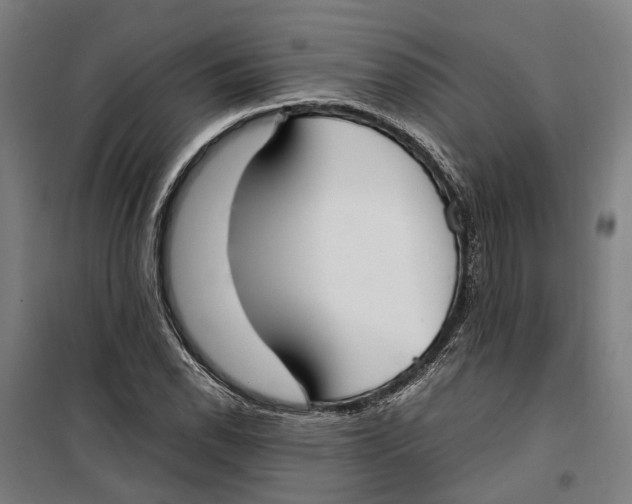 X0000099551118200806061510