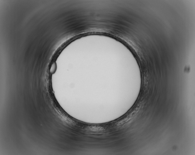 X0000099551119200806061510