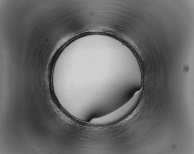 X0000099551122200806061510