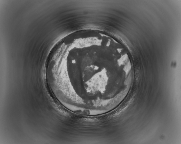 X0000099551125200806061510